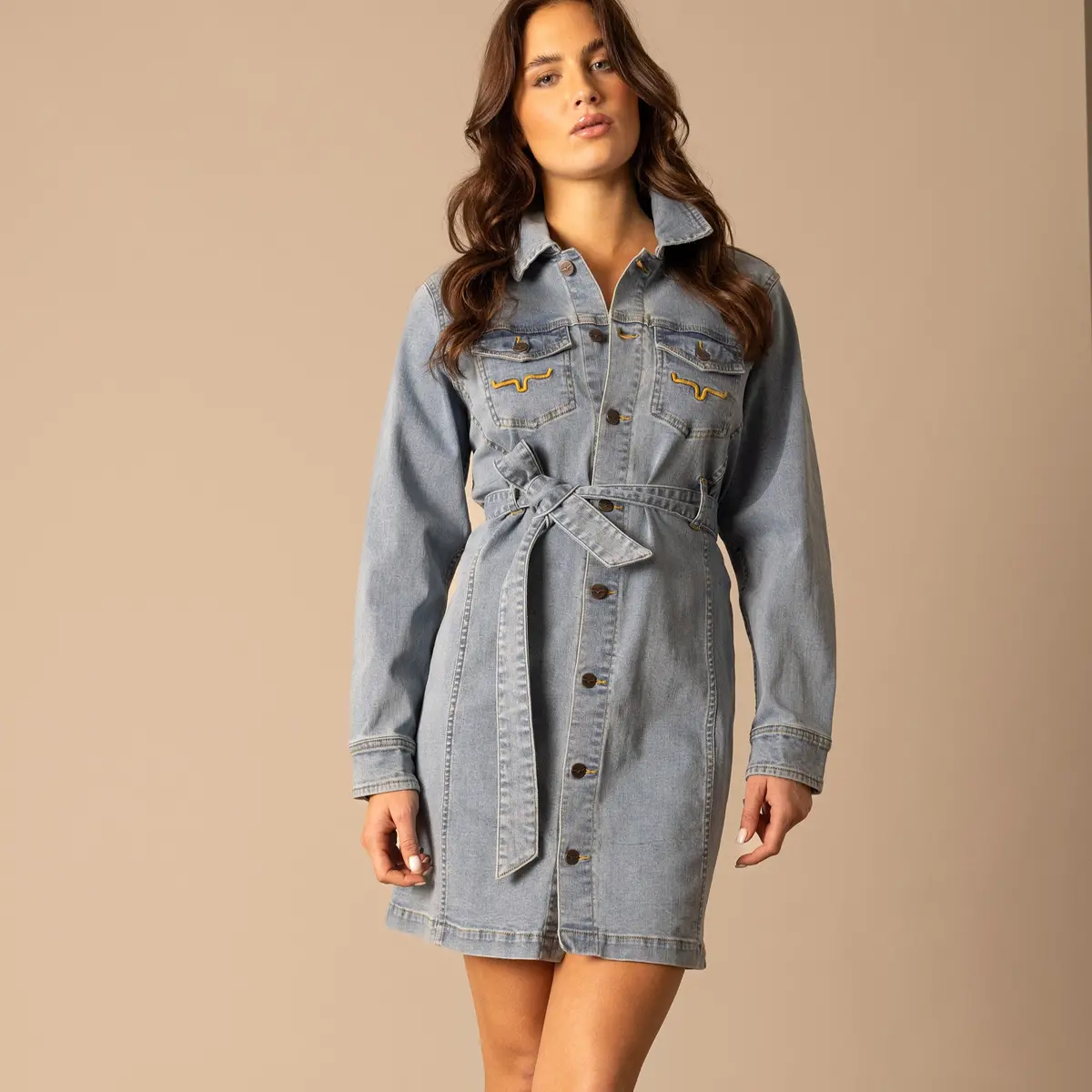 Winslow Trucker Dress By Kimes Ranch In Denim 1