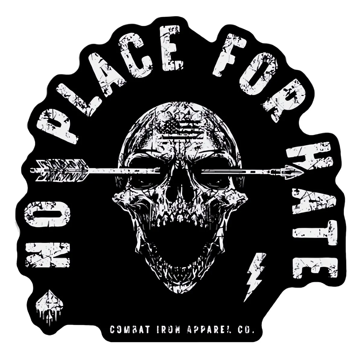 No Place For Hate Skull Decal 1