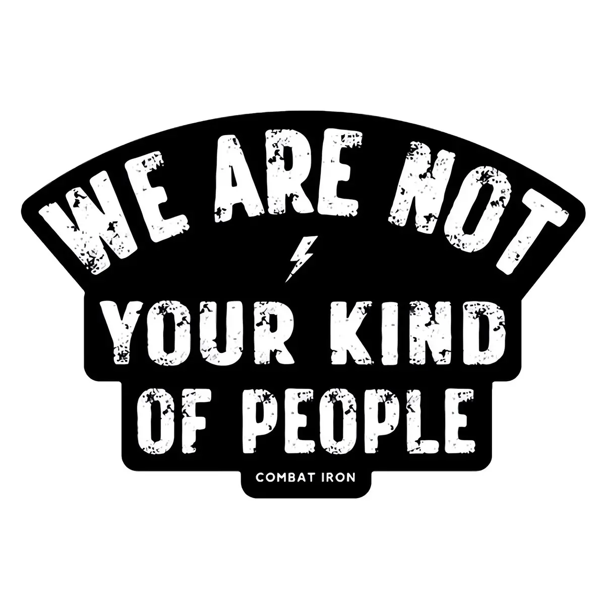 We Are Not Your Kind Of People Decal 1