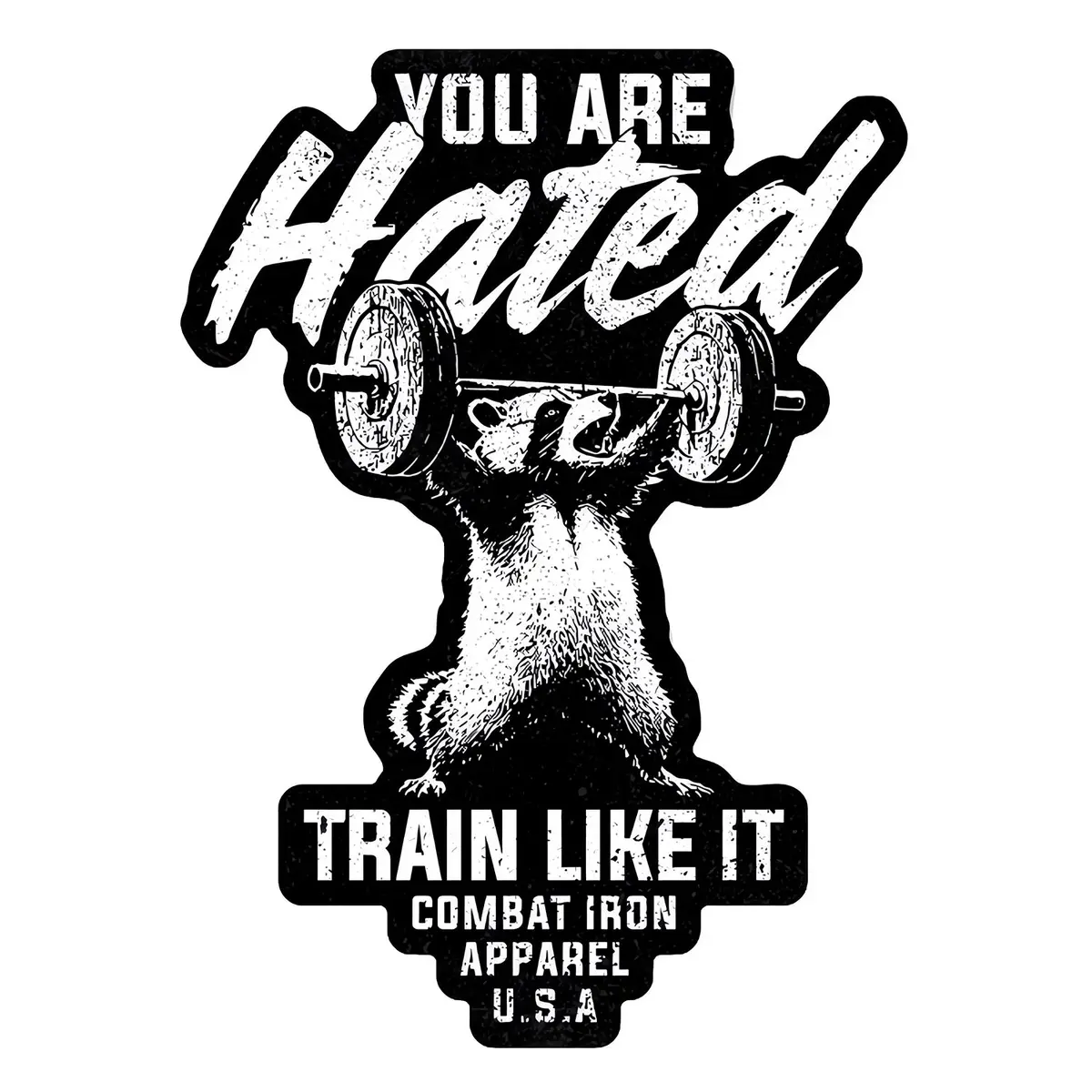 You Are Hated Train Like It Decal 1
