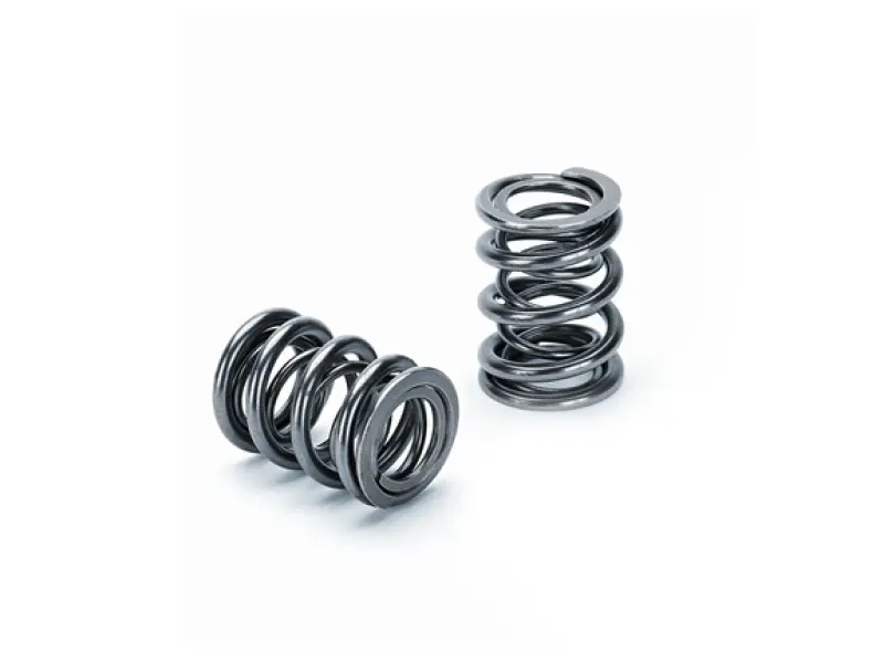 Supertech Honda K20/K24 Dual Valve Spring - Set Of 16 1