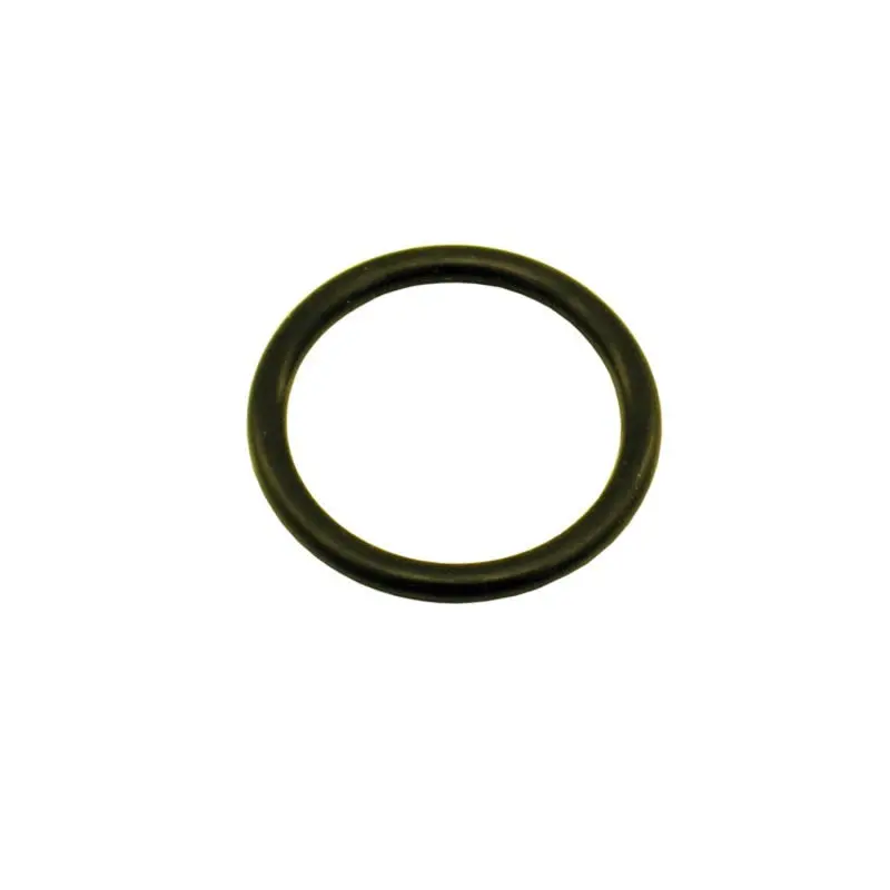 Nitrous Express 1-1/8 O-Ring (Fits 5Lb/10Lb/12Lb/15Lb Bottle Valve) 1