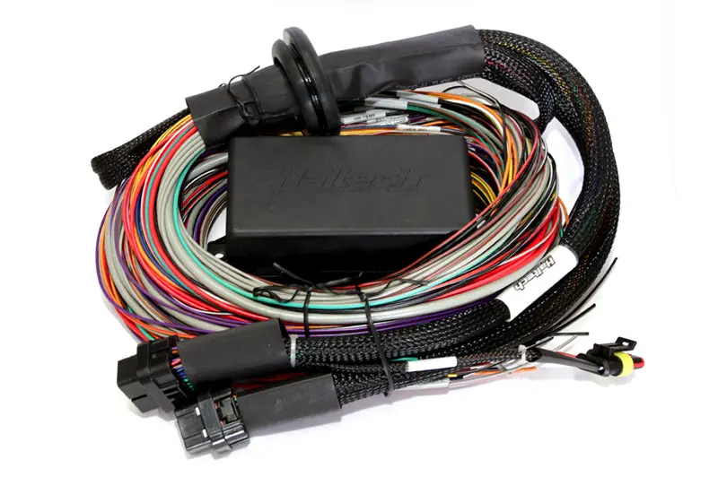 Haltech Elite 2500 & 2500 T 8Ft Premium Universal Wire-In Harness 1